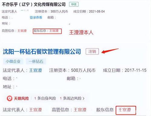王澄澄老公爆料了吗视频,揭秘背后真相
